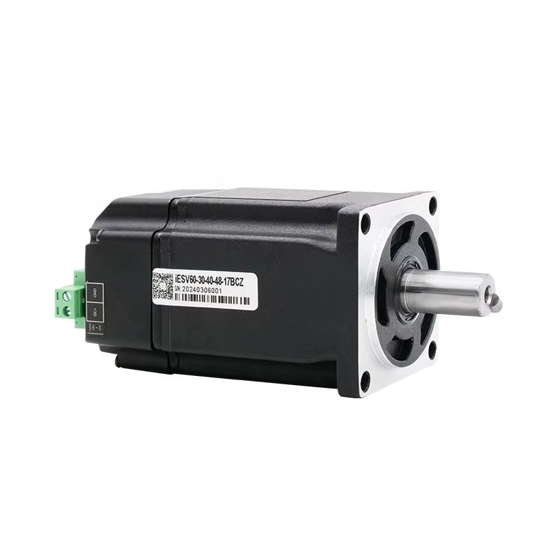 IESV60-30-40-48-17BC Servo Mot - Servo Motor 400W With Driver 评论和价格
